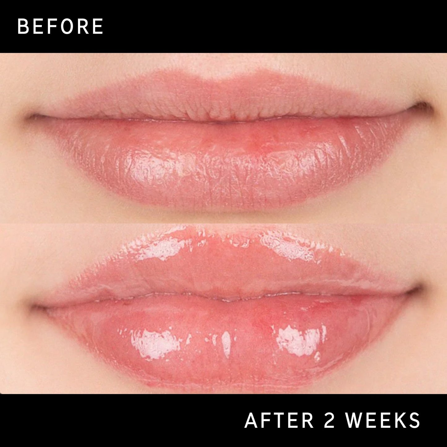 tripeptide-plumping-lip-balm-c0 DTC-Top15_Amends_Tripeptide-Lip_B_A.jpg